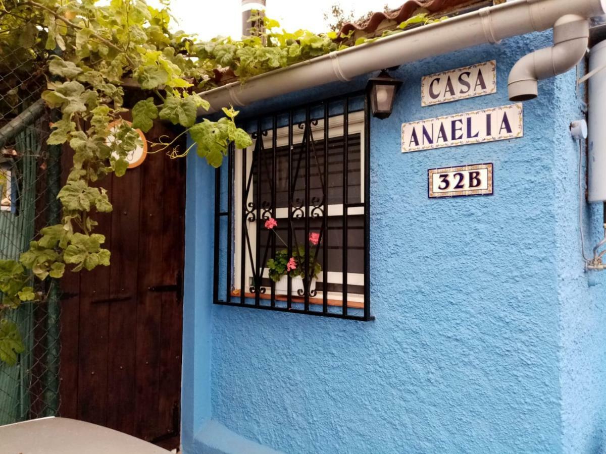 Casa Anaelia * La Orotava